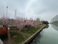 -白塘生态植物园
