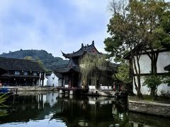 -鲁镇