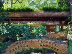 -西双版纳原始森林公园