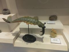 -辽宁古生物博物馆