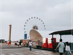 -奉贤海滩