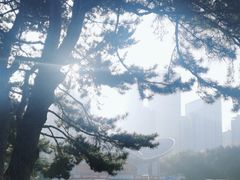 -东北大学(南湖校区)