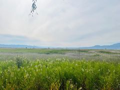 -野鸭湖国家湿地公园