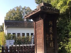 -鲁镇