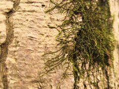 -无锡梅园公园