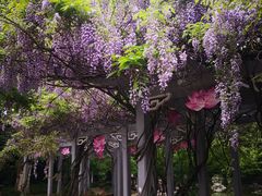 -南山风景名胜区