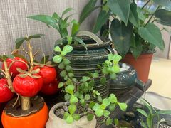 -祈胜邨•顺德鱼生•顺德菜(容桂店)
