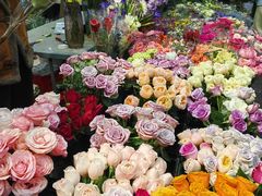 -循礼门鲜花花市(武汉循礼门店)