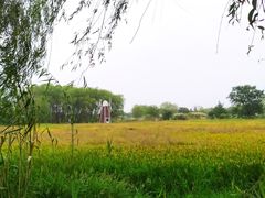 -长兴太湖图影湿地文化园