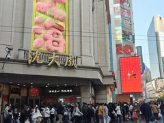 -沈大成(南京东路店)