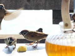 -湖畔居茶楼(湖滨店)