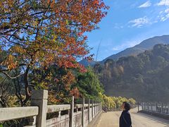 -福清灵石山国家森林公园