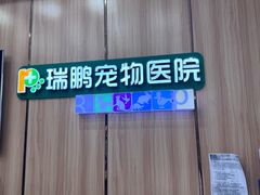-瑞鹏宠物医院·夜间急症·心超·猫科(祖庙分店)