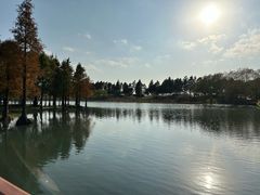 -贡湖湾湿地公园