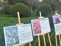 -堤角公园