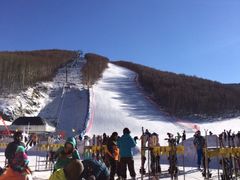 多乐美地滑雪场-多乐美地滑雪场