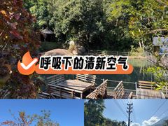 -霸王岭国家森林公园