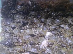 -聚盛源蒸汽海鲜火锅烤肉自助(巨川金海岸购物广场店)