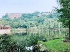 -重庆彩云湖湿地公园