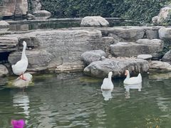 -长安先导国际创新人才交流中心·地中海餐厅·潮汕牛肉火锅·欧陆花园烧烤