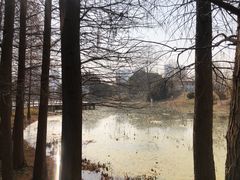 -月湖风景区