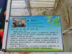 -第五季龙水凤港生态露营农场