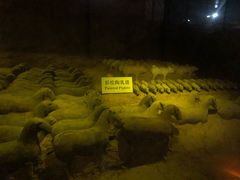 -汉景帝阳陵博物院