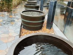 -水王国温泉水世界