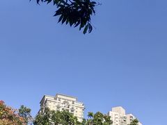 -四海公园(南山区)