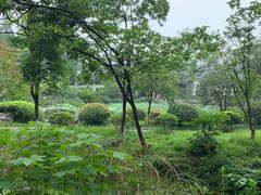 -杭州花家山庄