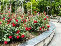 -奉浦四季生态园