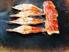 -大渔·观筵(三里屯太古里店)