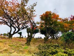 -岚山猴子公园