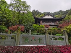 -龙井村