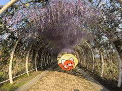 -同里国家湿地公园