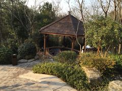 iphone_upload_pic-天目湖涵田半山温泉水乐园