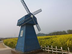 -西海岸生态观光园