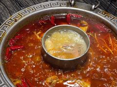 -杨肥肠火锅大排档(火车站花园店)