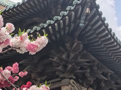 -晋祠博物馆