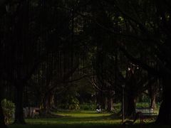 -南沙蒲洲花园
