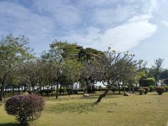 -大湾区中央湿地公园
