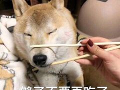 -粤赏点(越秀城市广场店)