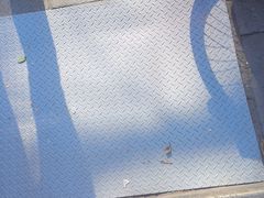 -孙庆海腊牛肉店(大皮院店)