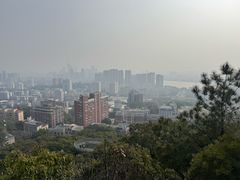 -福道
