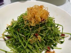 -青花椒花椒鱼(合生汇店)