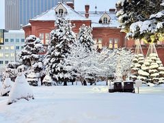 -北海道厅旧本厅舍(旧本庁舎)