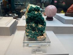 -湖南省地质博物馆