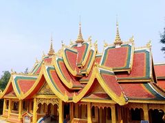 -西双版纳原始森林公园