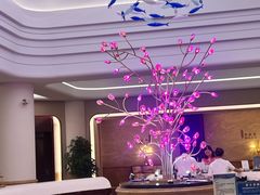 -海韵之星邮轮水会(明发商业广场店)