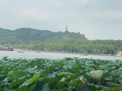 -湖畔居茶楼(湖滨店)